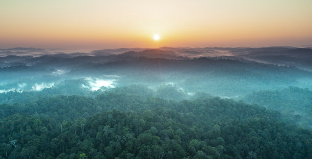 borneo