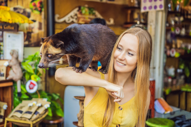 civet