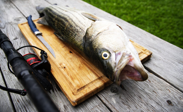 rockfish