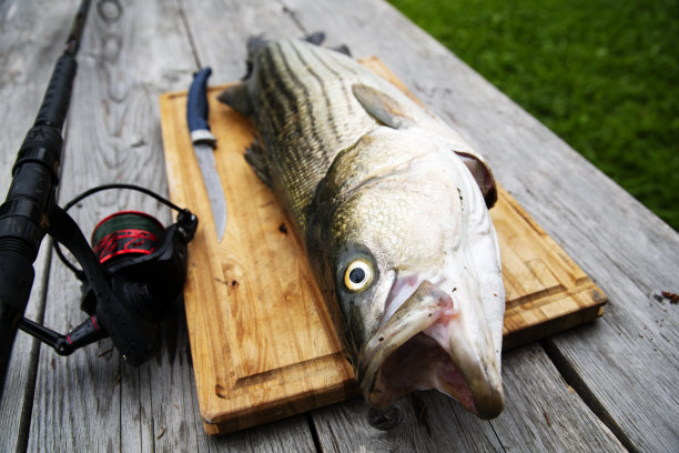 rockfish