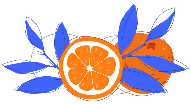 oranges