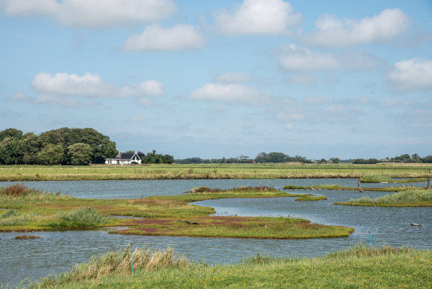 _texel