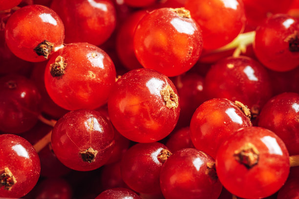redcurrant