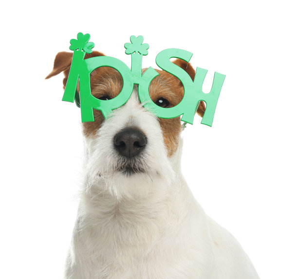 shamrock