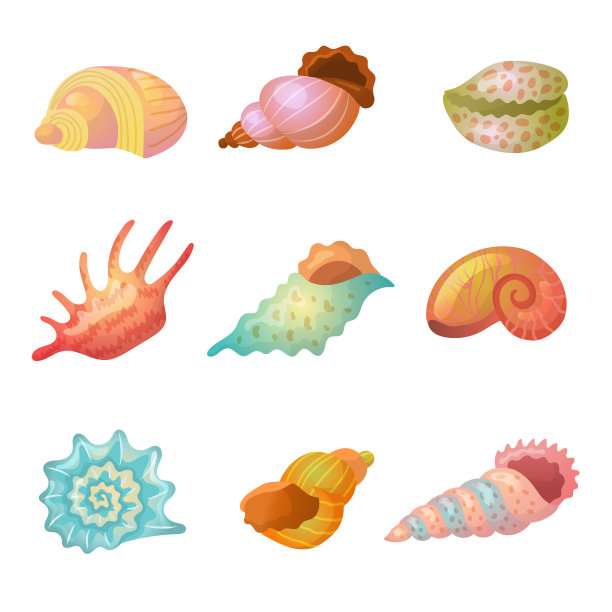 conch