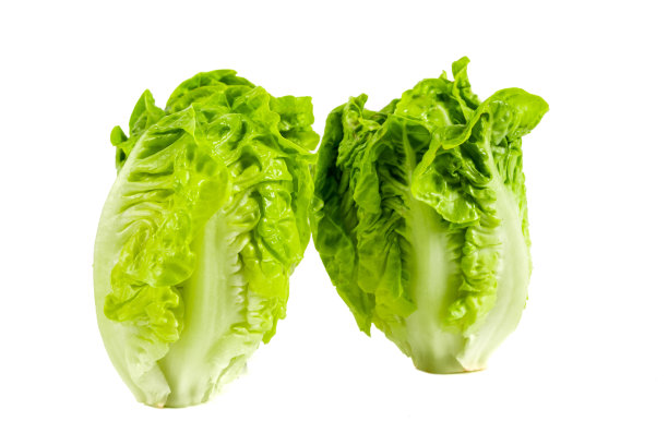 romaine