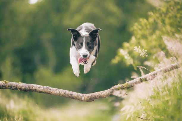 leaping