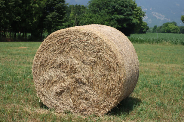 bale