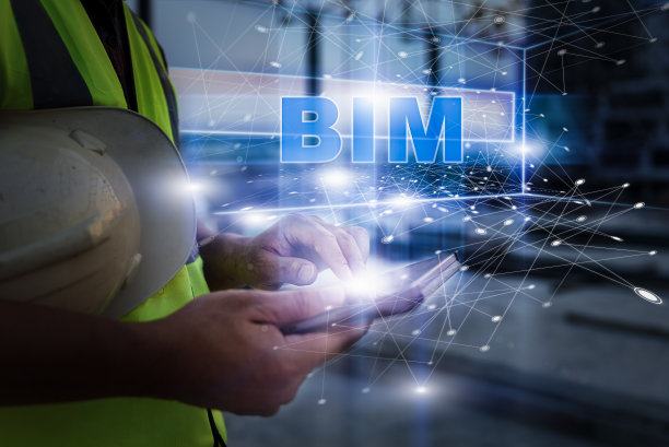 bim