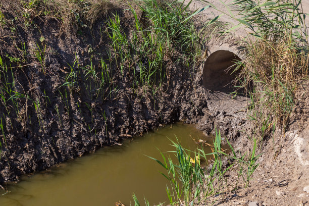 ditch