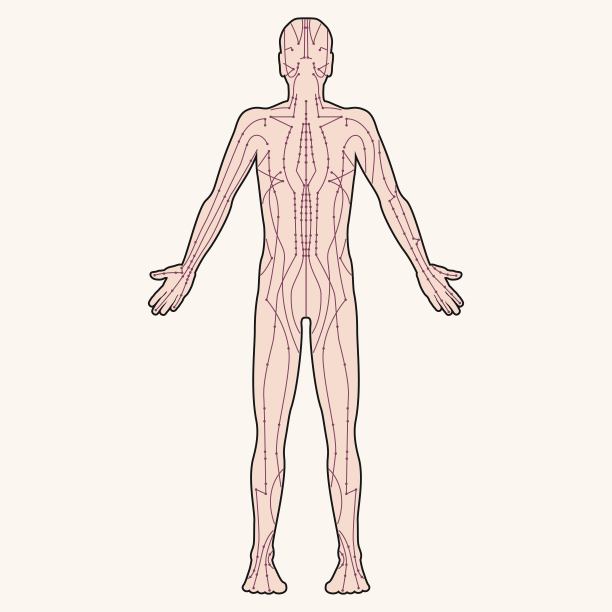 form