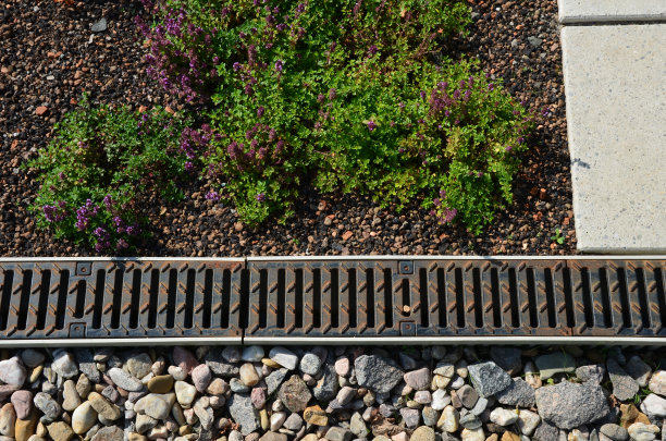 ditch