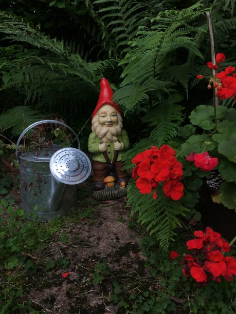 gnome