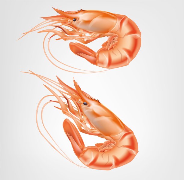shrimps
