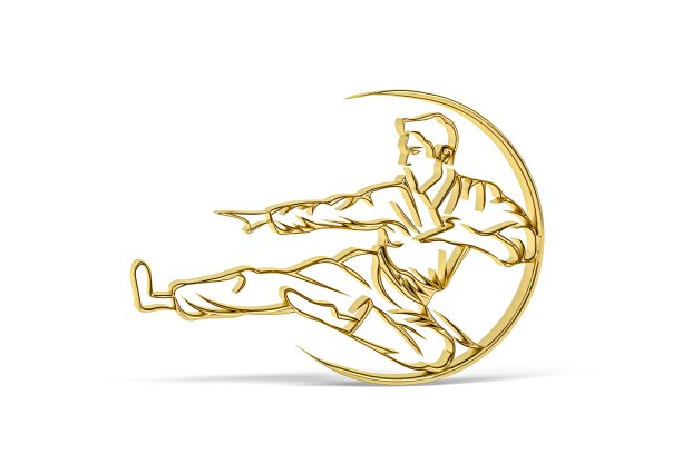 运动跆拳道健身logo设计