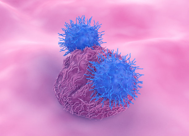 cd4