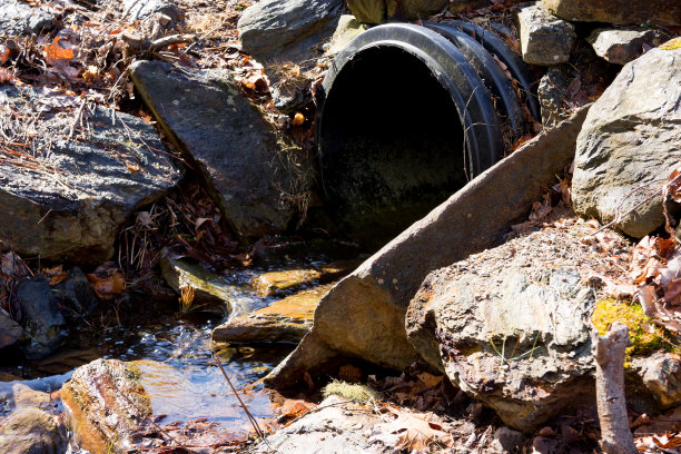 ditch