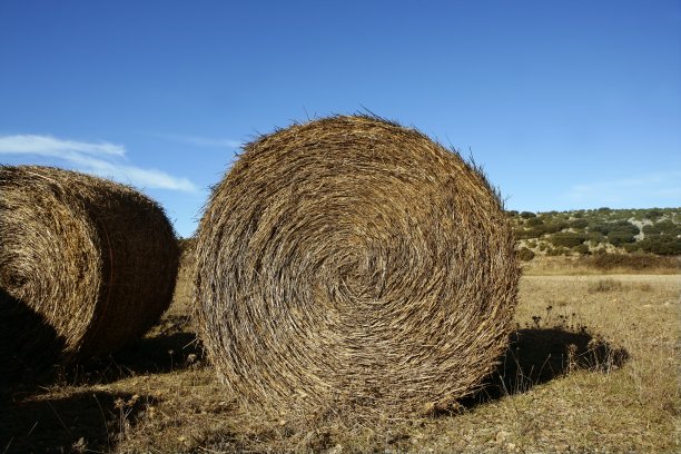 bale
