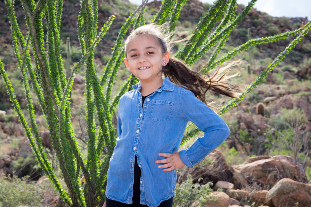 ocotillo