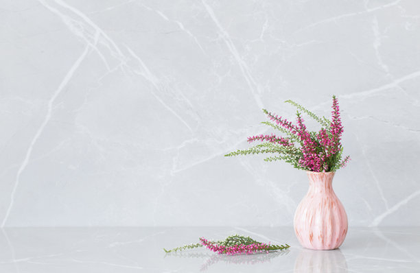calluna