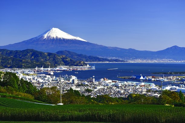 fuji