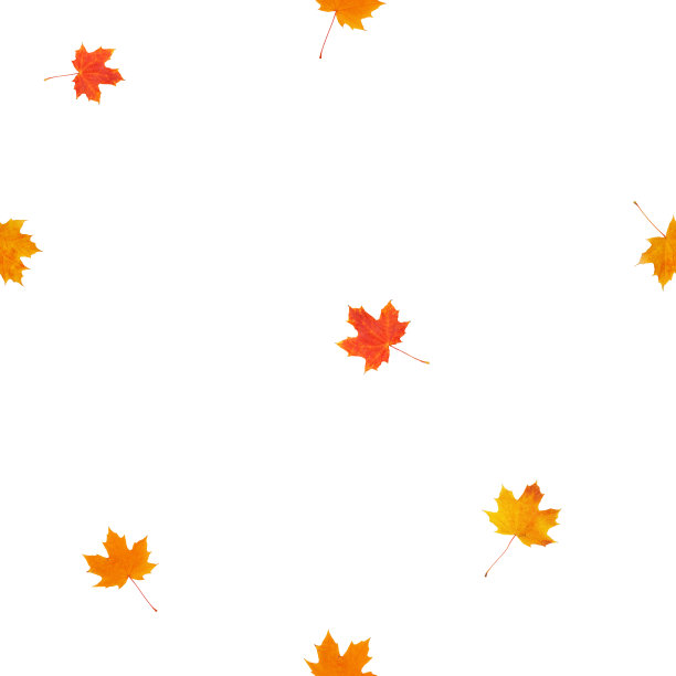 多彩秋季枫叶无缝图案