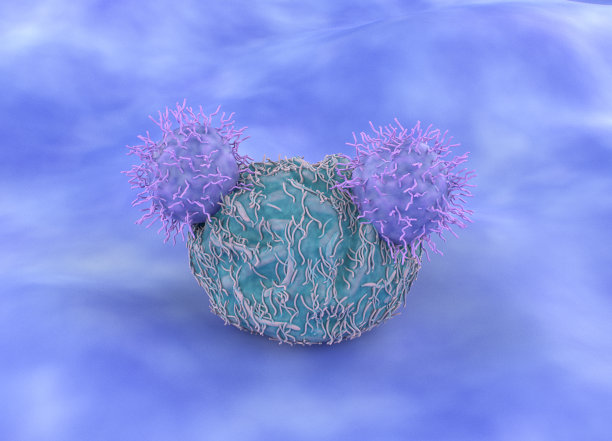 cd4