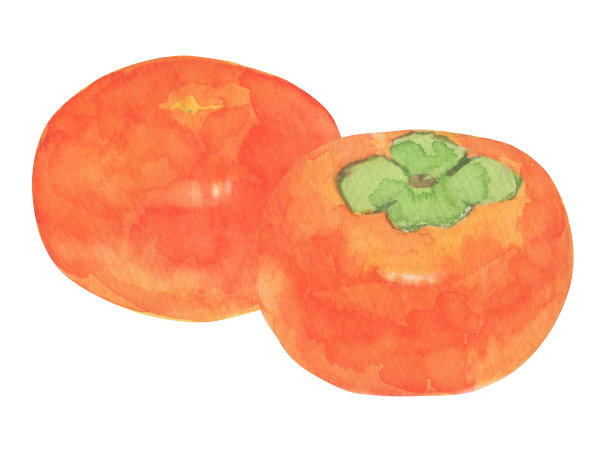 白底上的甜柿子