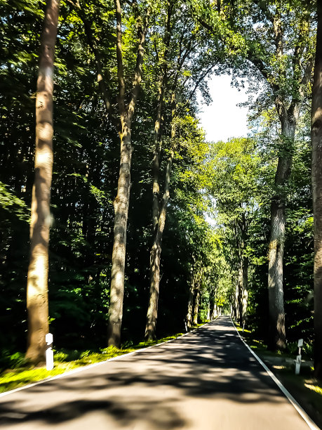 avenue
