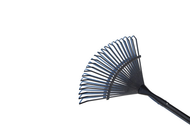 rake