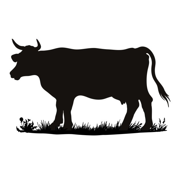 cattle