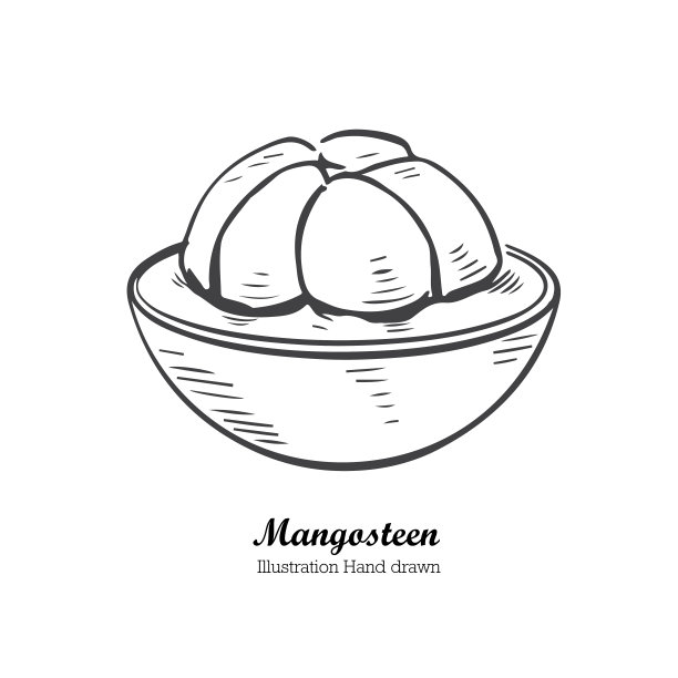 山竹包装插画