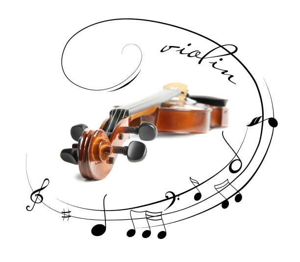violin