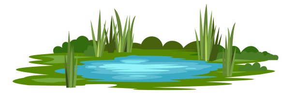 wetland