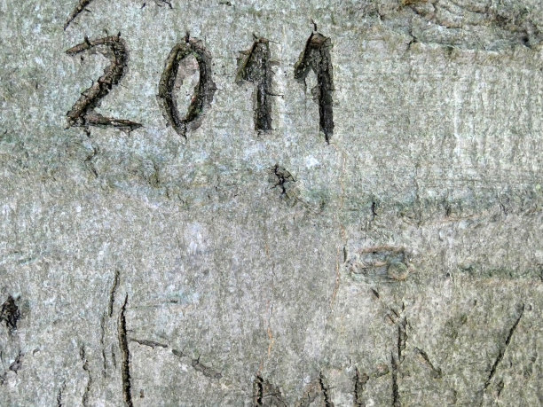 2011