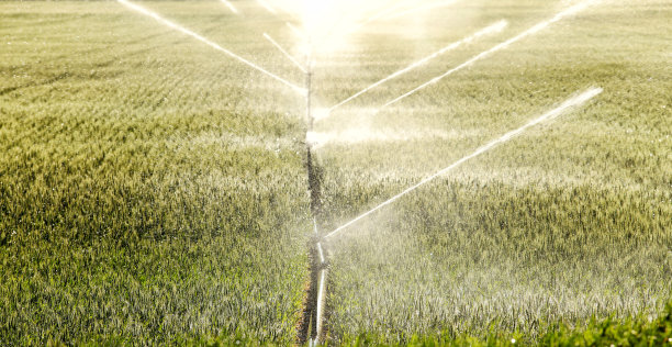 irrigation