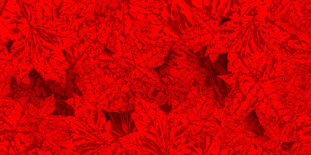 多彩枫叶无缝图案矢量背景