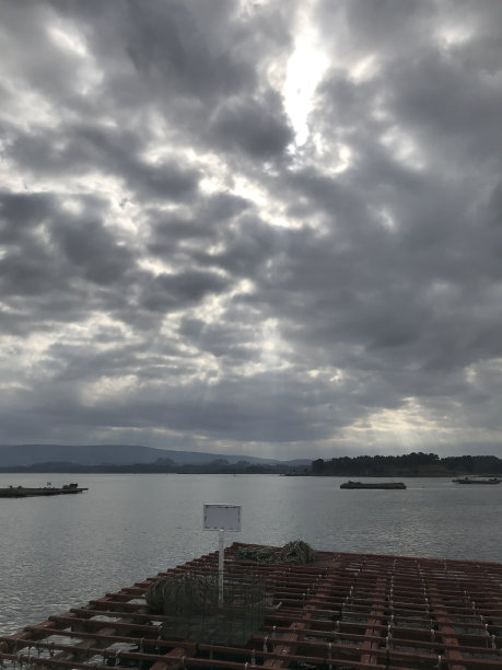vigo