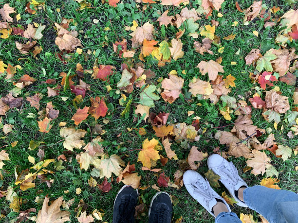 多彩秋季枫叶无缝图案