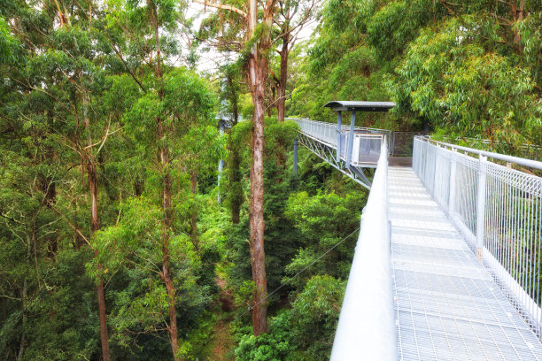 skywalk
