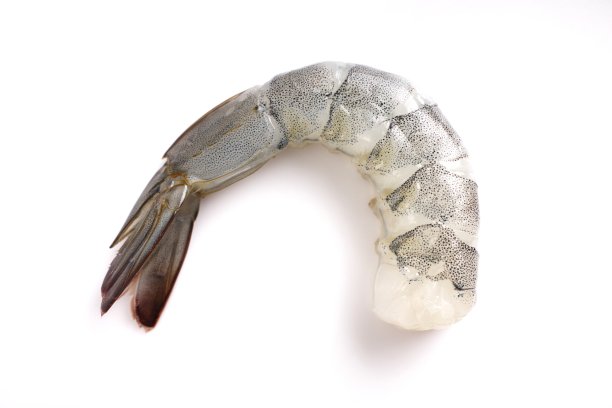 shrimps