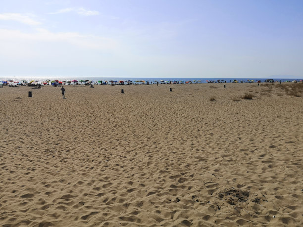 viareggio