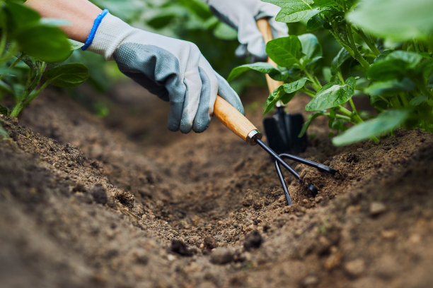 horticulture