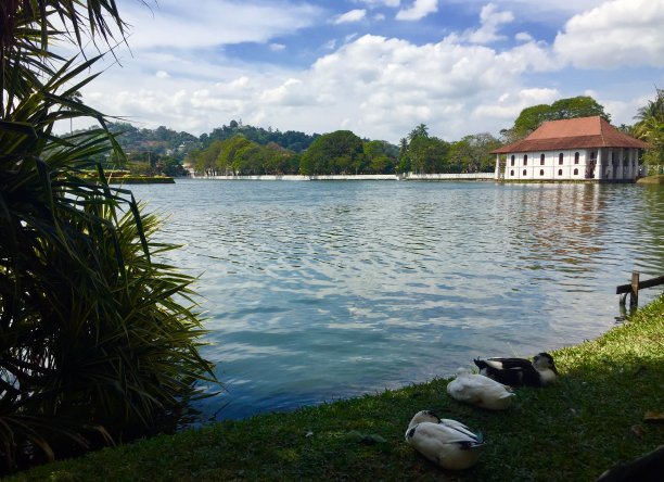 徐汇区城市徐汇区文化