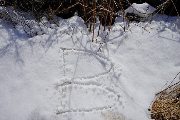 雪山,画画,草