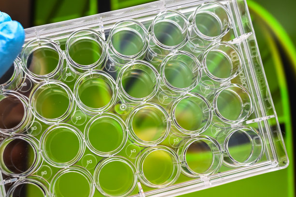 实验室,生物化学,脱氧核糖核酸