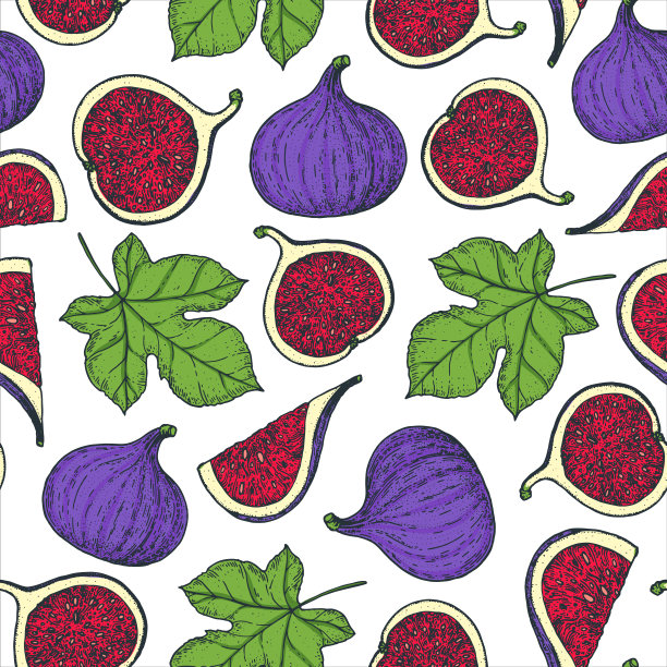 无花果插画包装