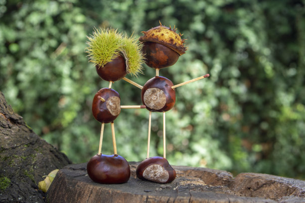 chestnut