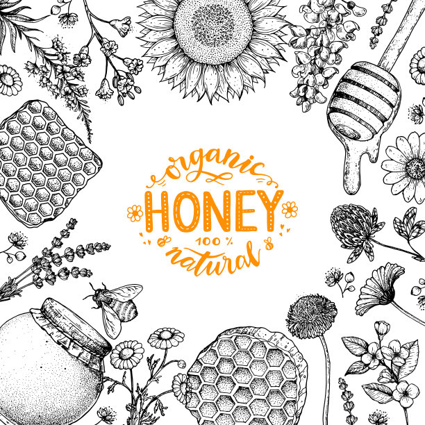 蜂蜜插画包装
