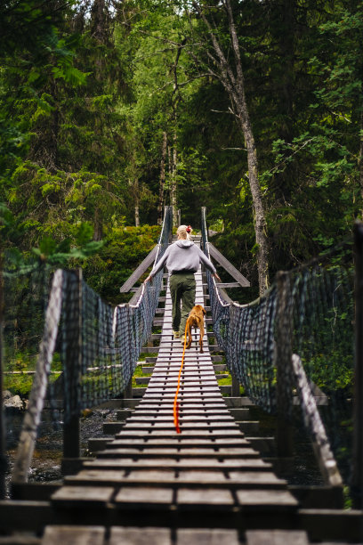 湿地公园吊桥
